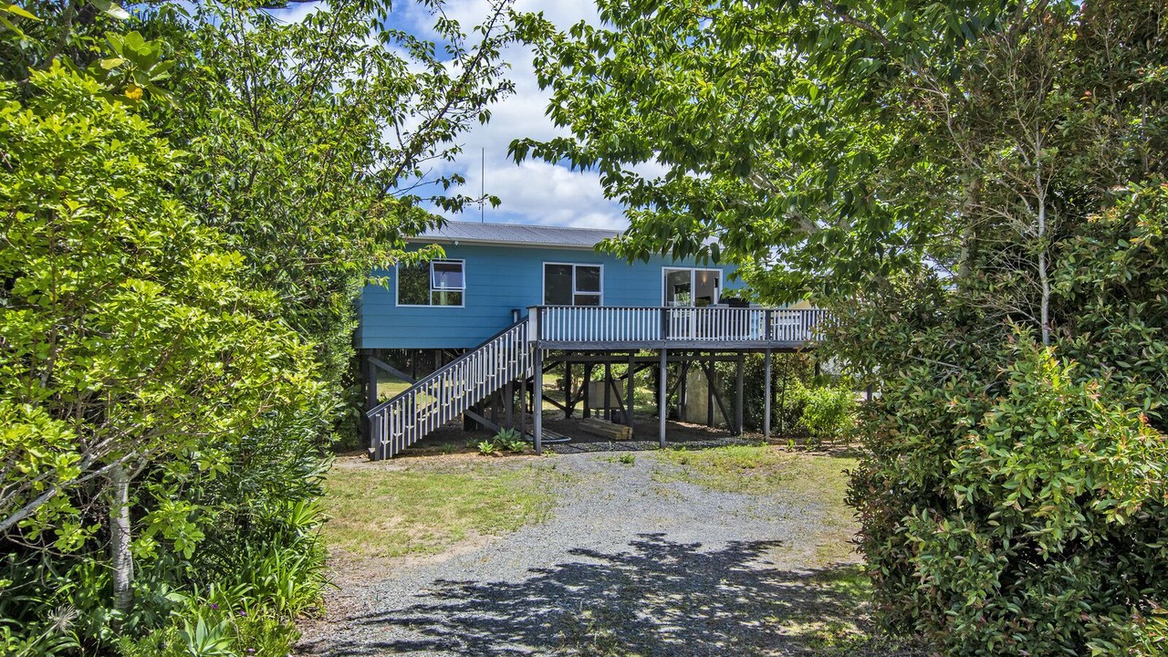 Photo of Outdoor in Mangawhai Heads