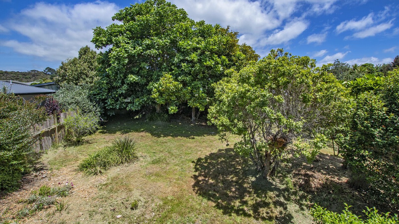 Photo of Outdoor in Mangawhai Heads