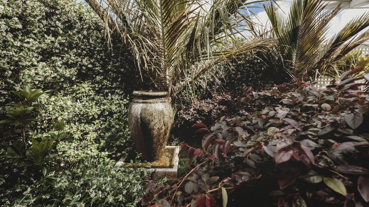 Photo of Outdoor in New Plymouth