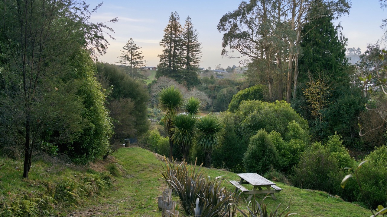Photo of Outdoor in Hamurana