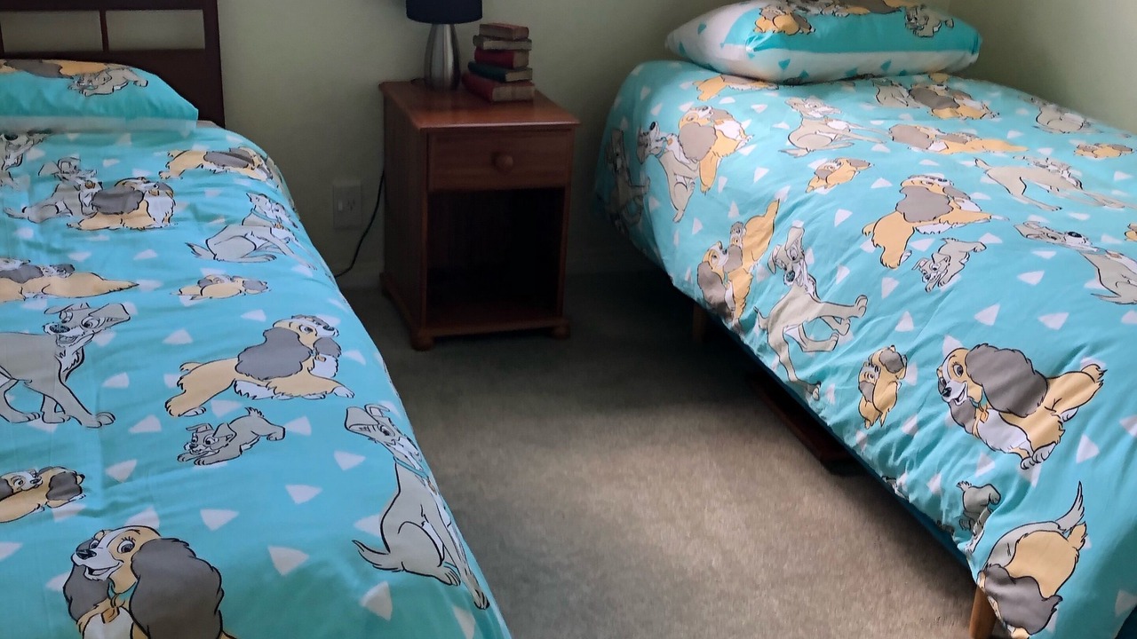 Photo of Bedroom in Whareroa Village