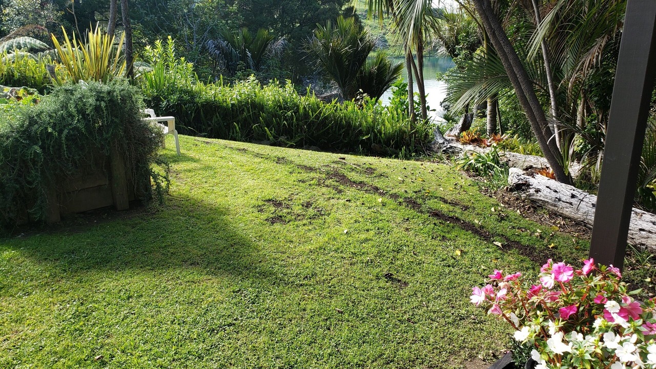 Photo of Outdoor in Tawharanui