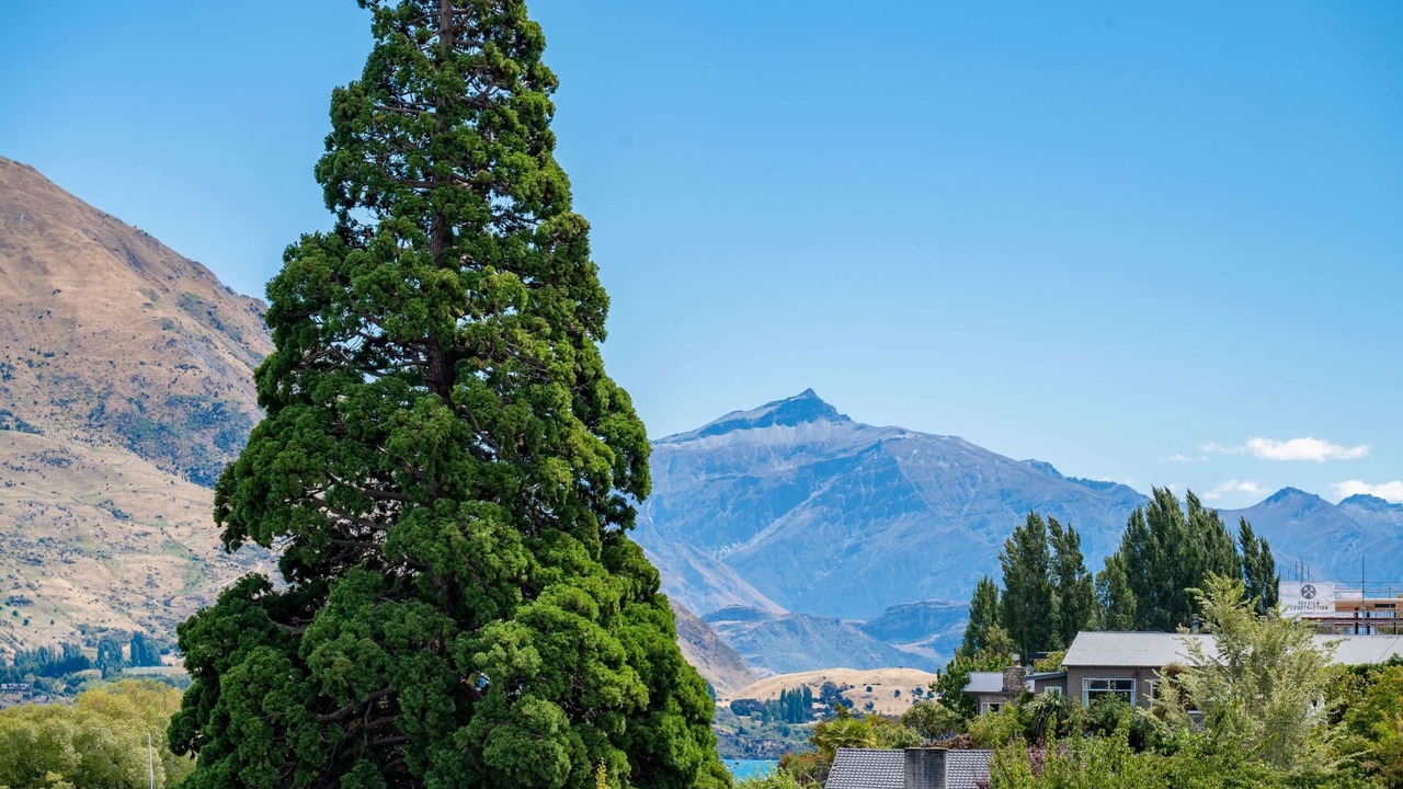 Photo of Others in Wanaka