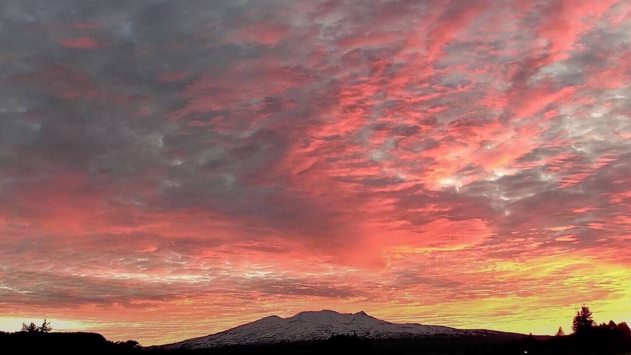 Photo of Others in Ohakune
