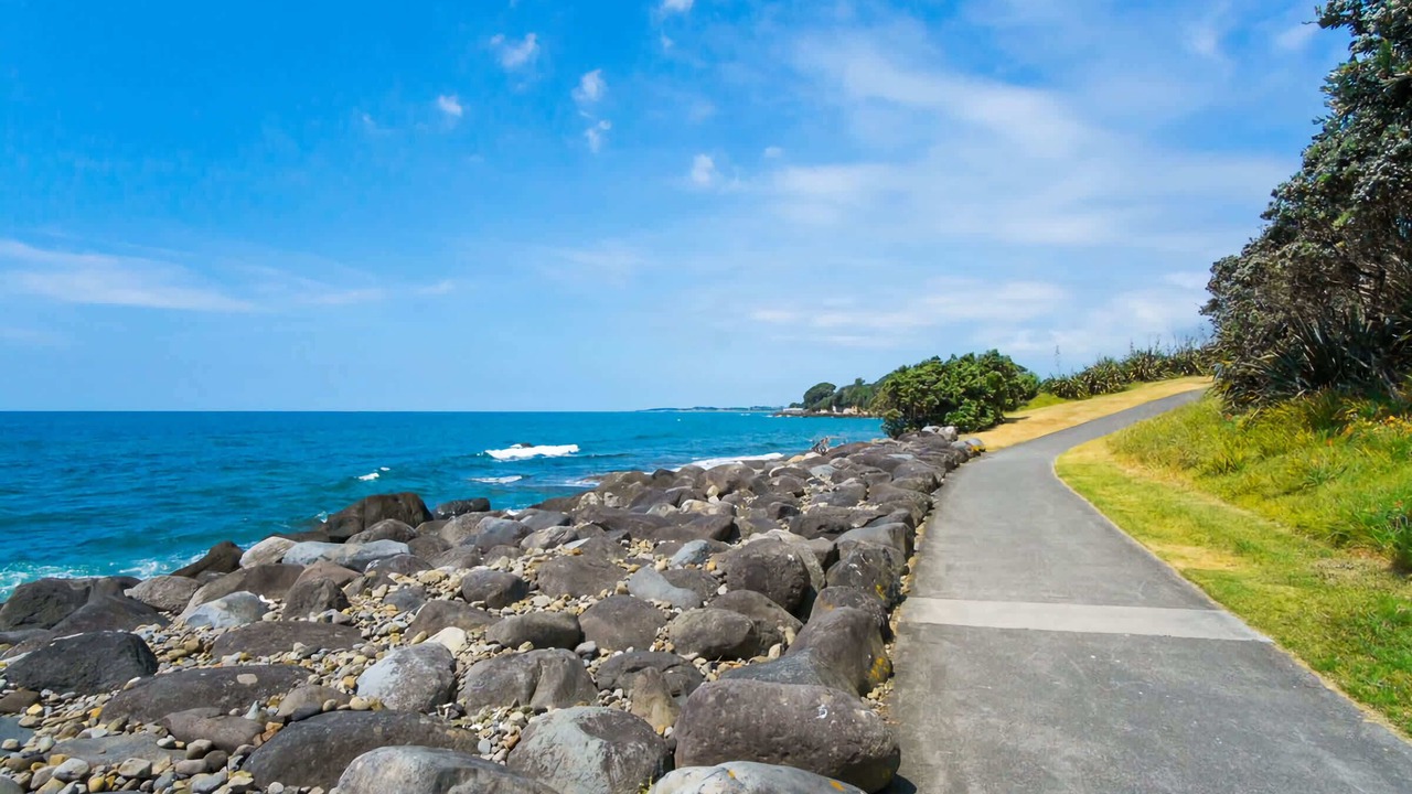 Photo of Others in New Plymouth