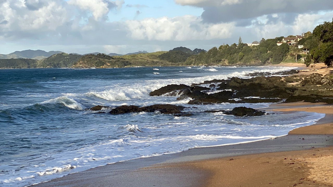 Photo of Others in Cable Bay