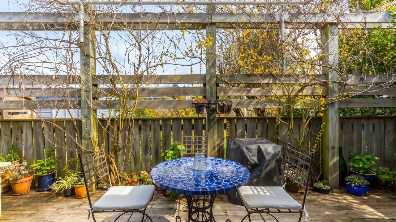 Photo of Outdoor in Greytown