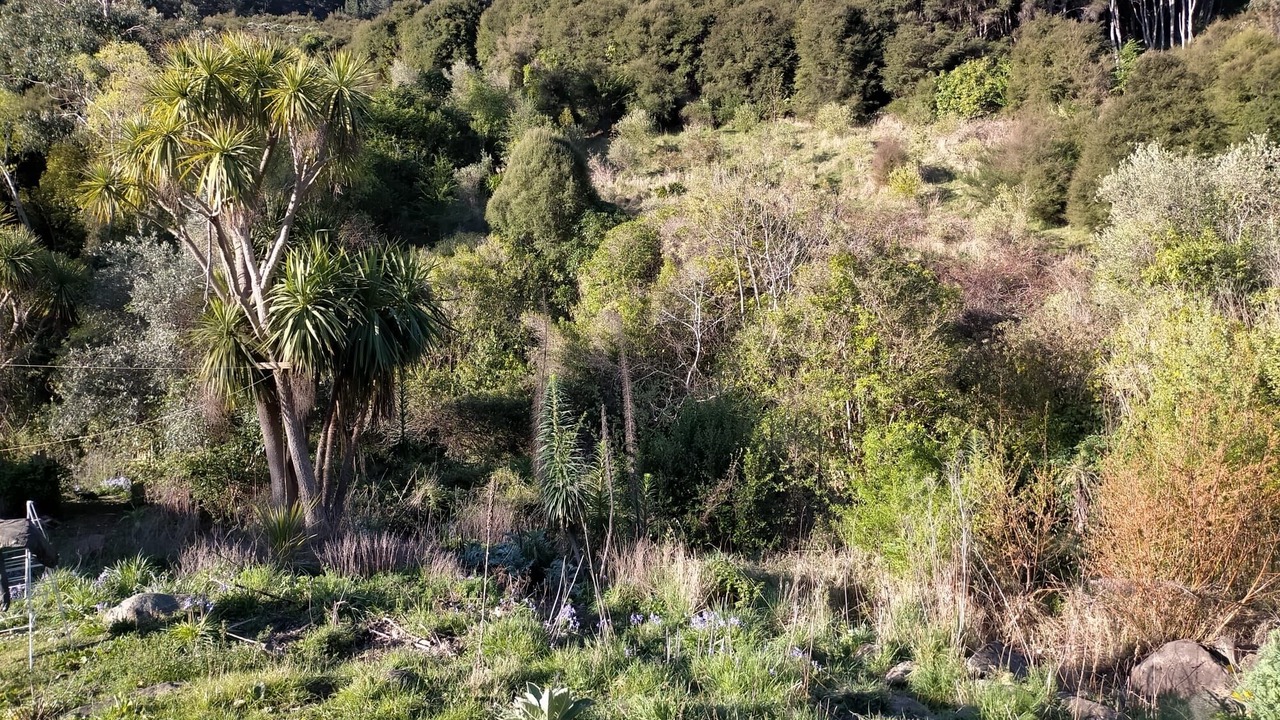 Photo of Outdoor in Akaroa