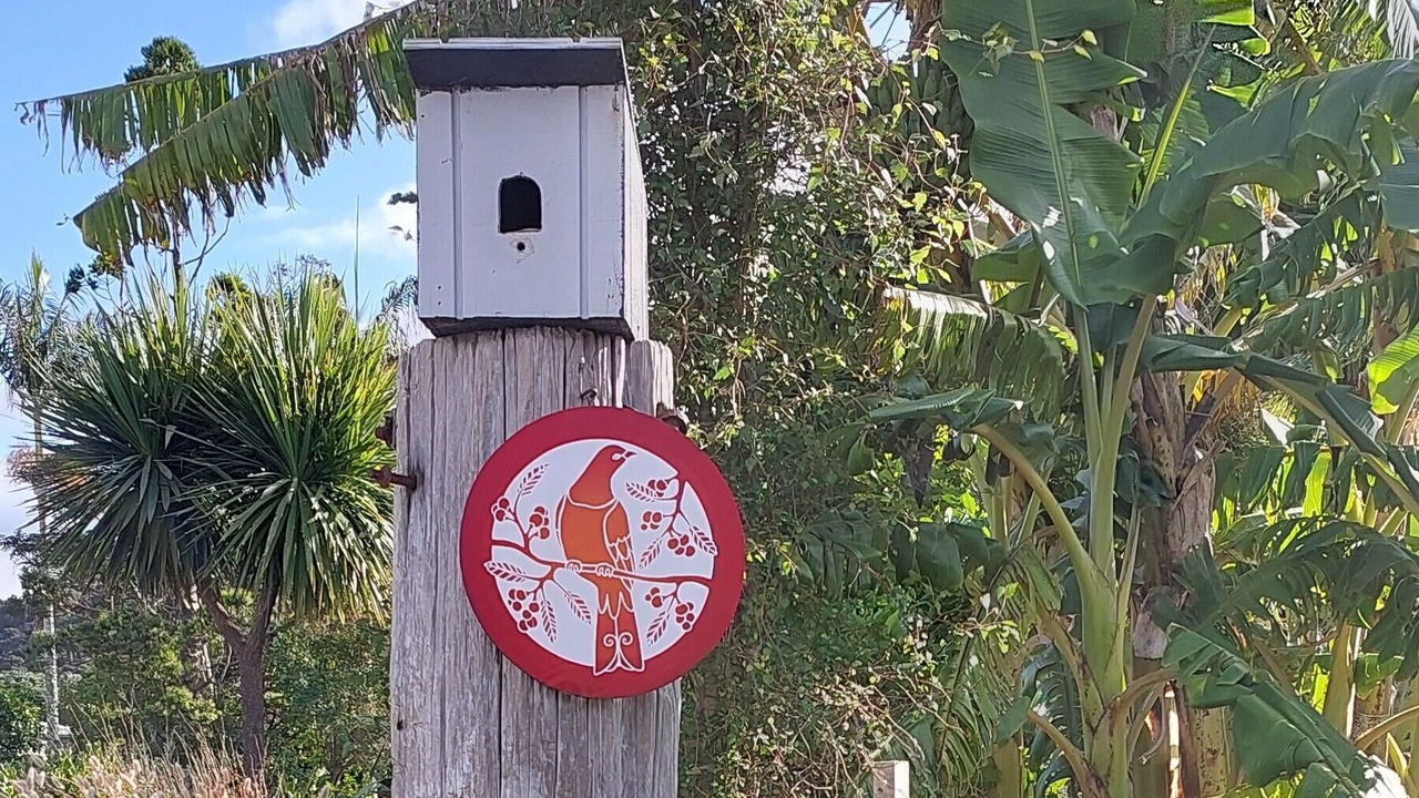 Photo of Others in Matapouri