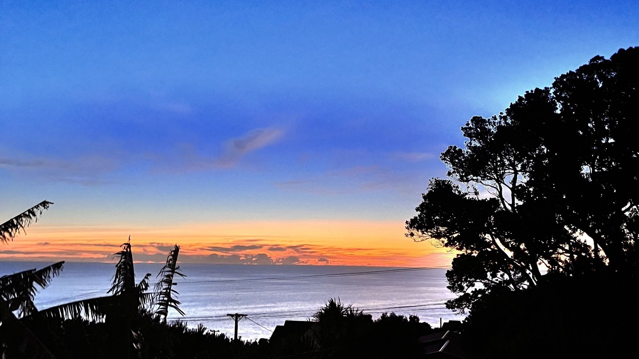 Photo of Others in Muriwai