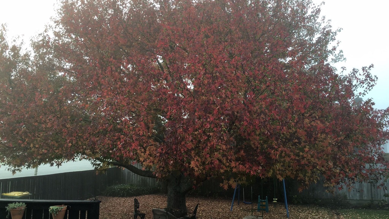 Photo of Outdoor in Hauraki
