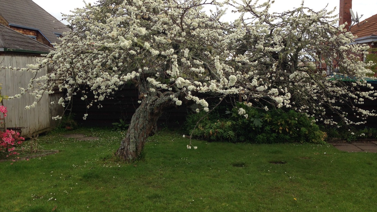 Photo of Outdoor in Hauraki