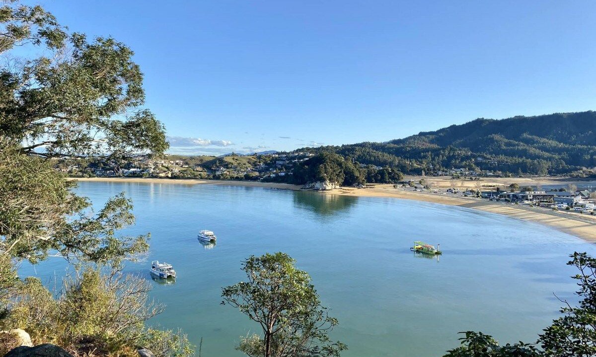 Photo of Others in Ngaio Bay