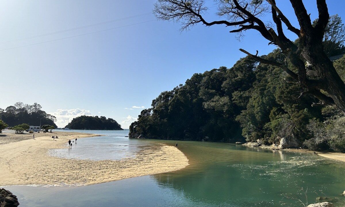 Photo of Others in Ngaio Bay