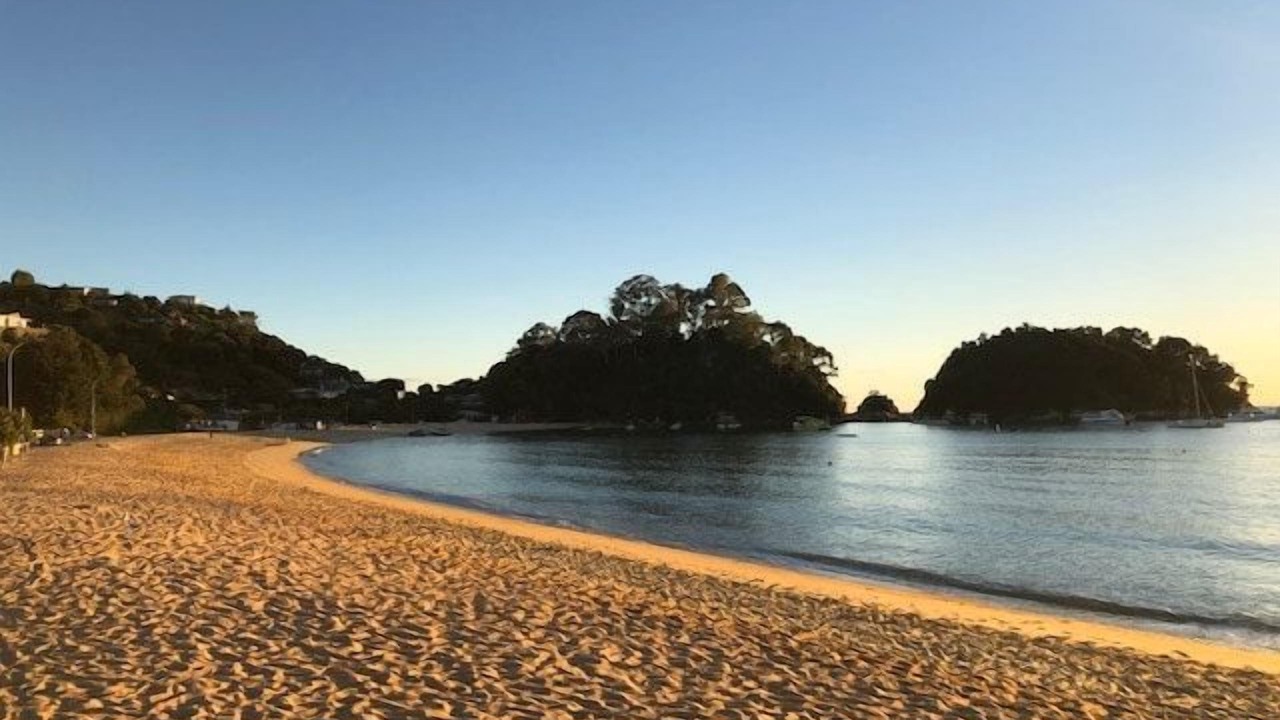 Photo of Others in Ngaio Bay