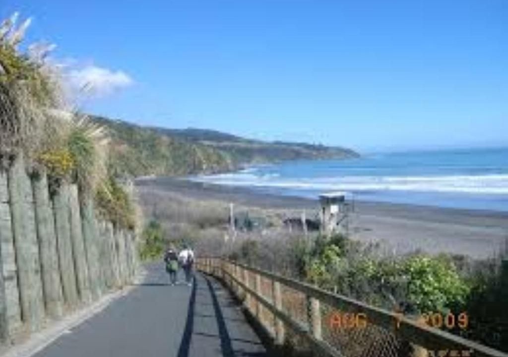 Photo of Others in Raglan