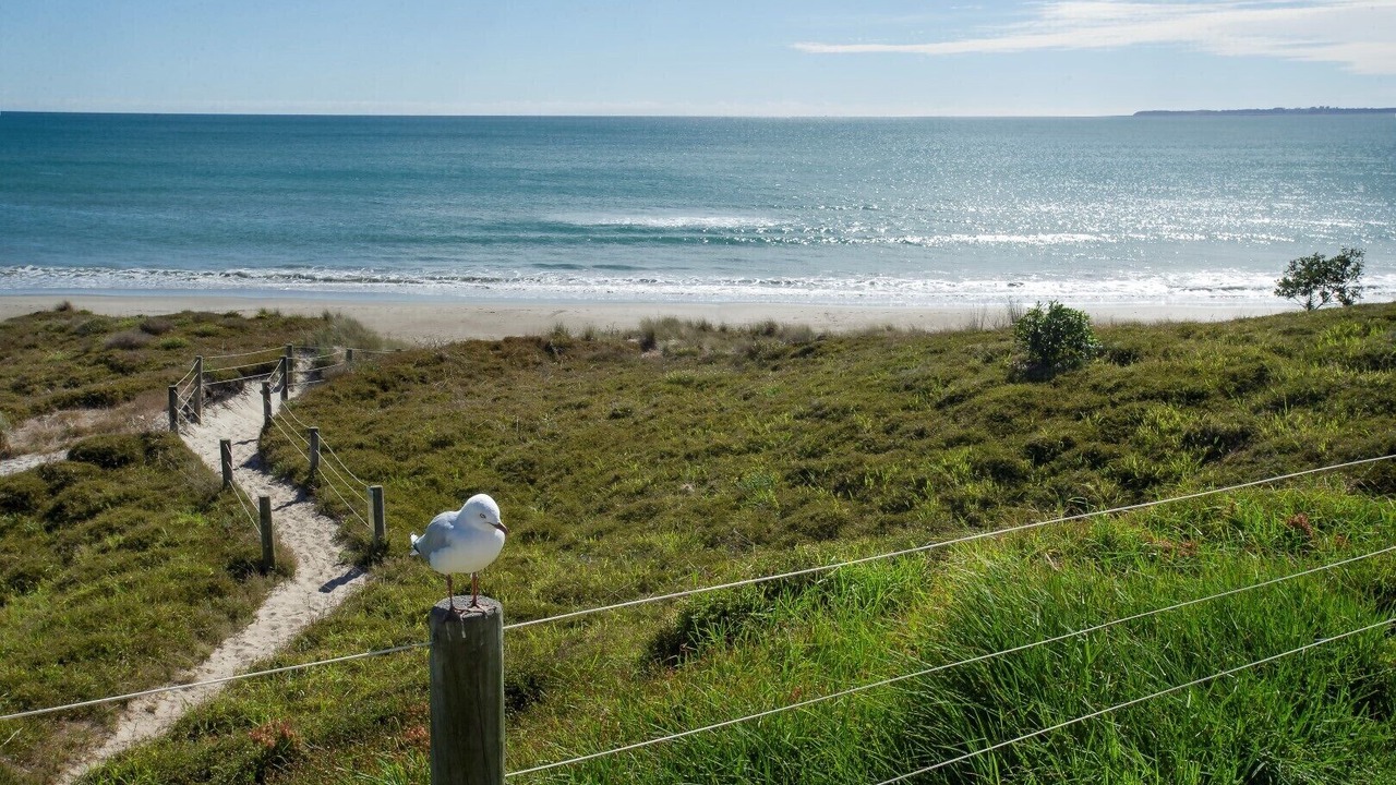 Photo of Others in Papamoa Beach