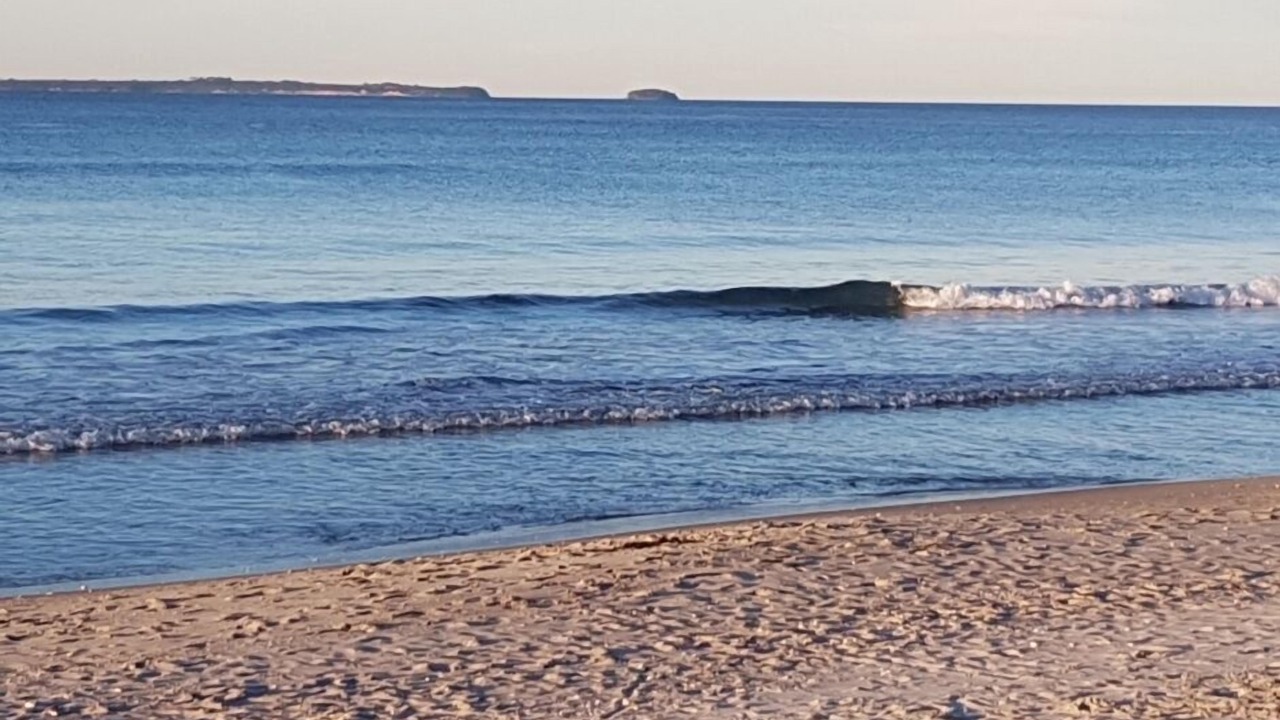 Photo of Others in Papamoa Beach