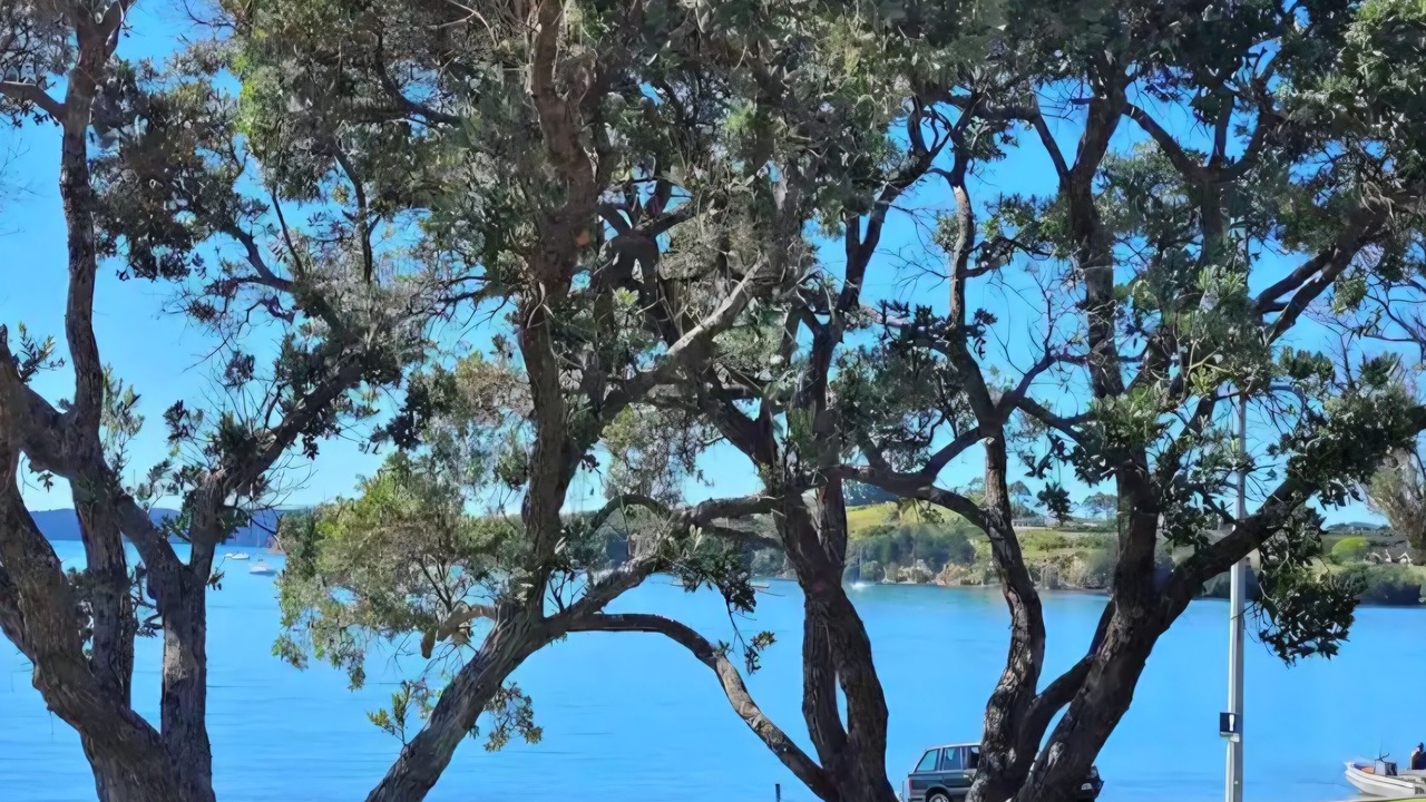 Photo of Others in Algies Bay