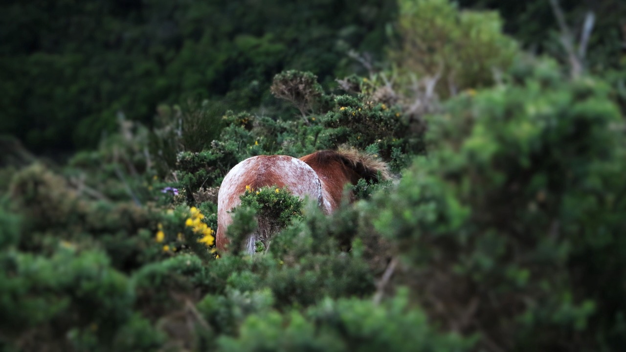 Photo of Outdoor in Wellington