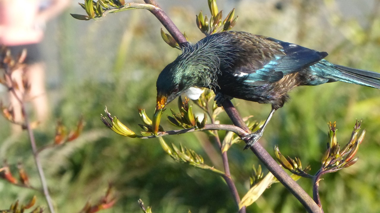 Photo of Outdoor in Wellington