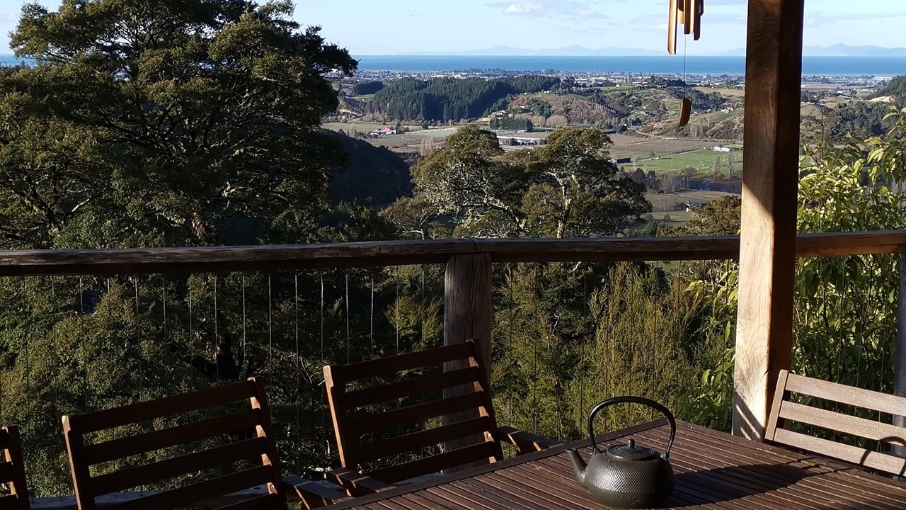 Photo of Outdoor in Motueka Valley