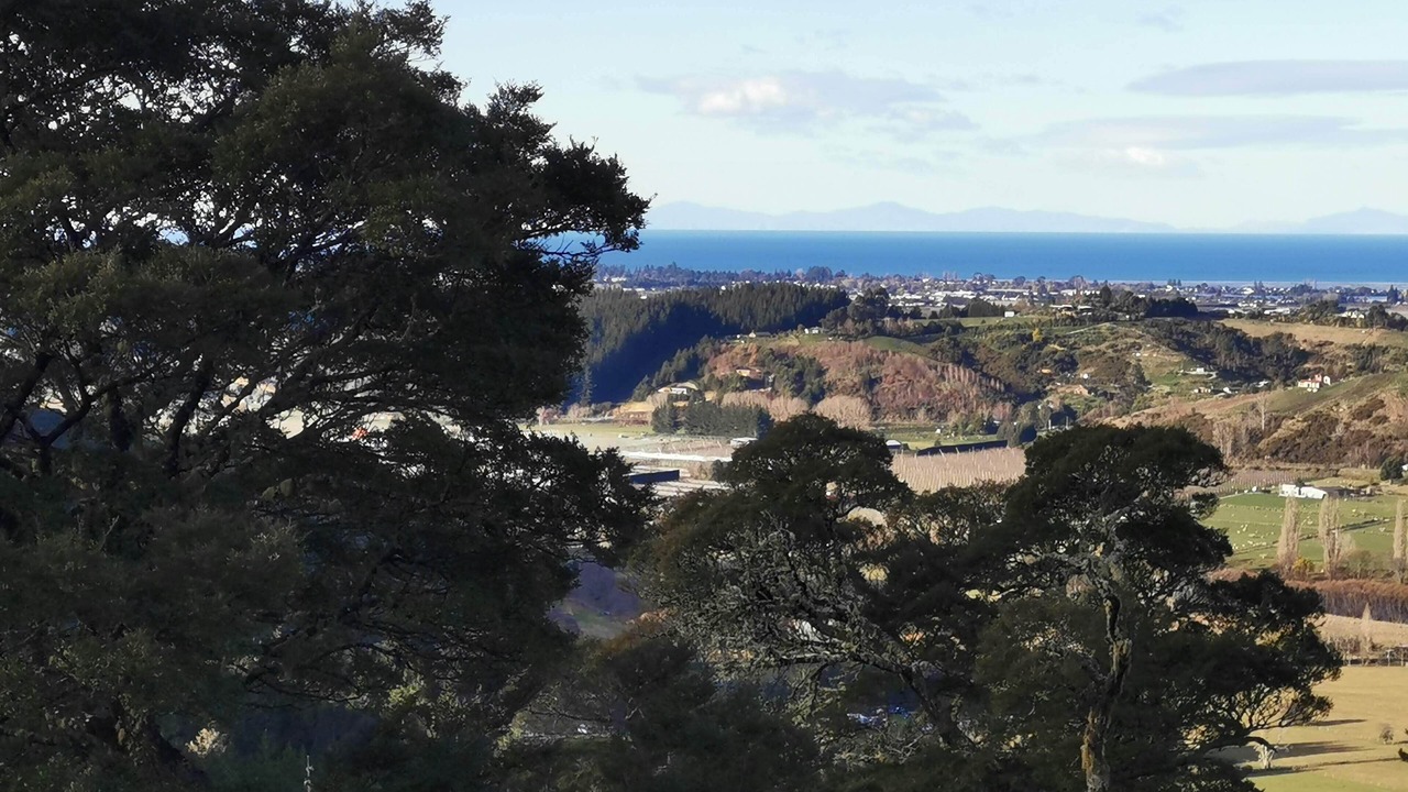 Photo of Others in Motueka Valley
