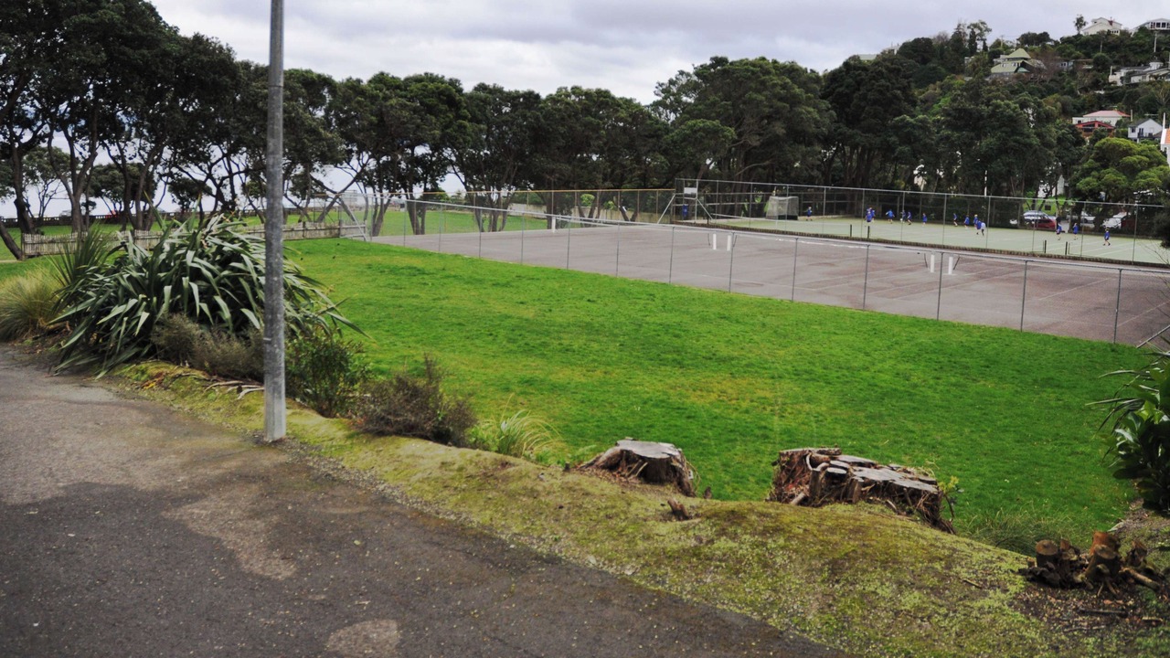 Photo of Others in Lower Hutt
