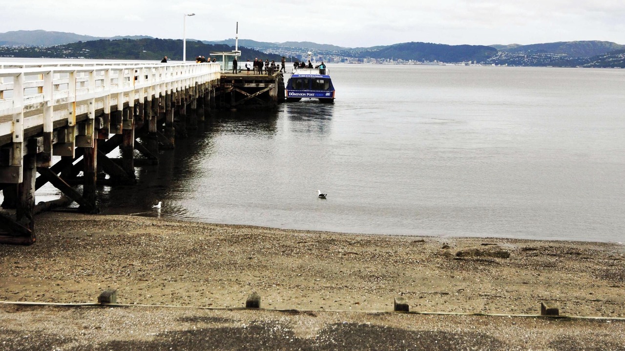 Photo of Others in Lower Hutt