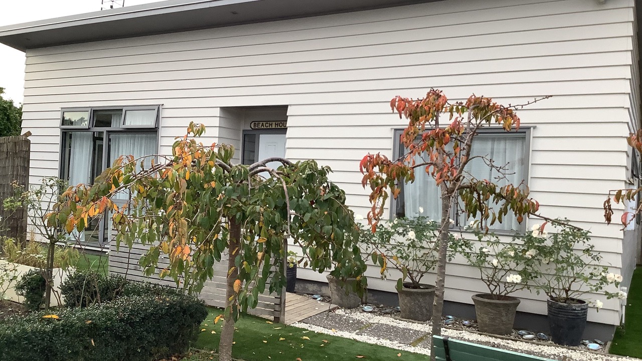 Photo of Outdoor in Te Wahapu
