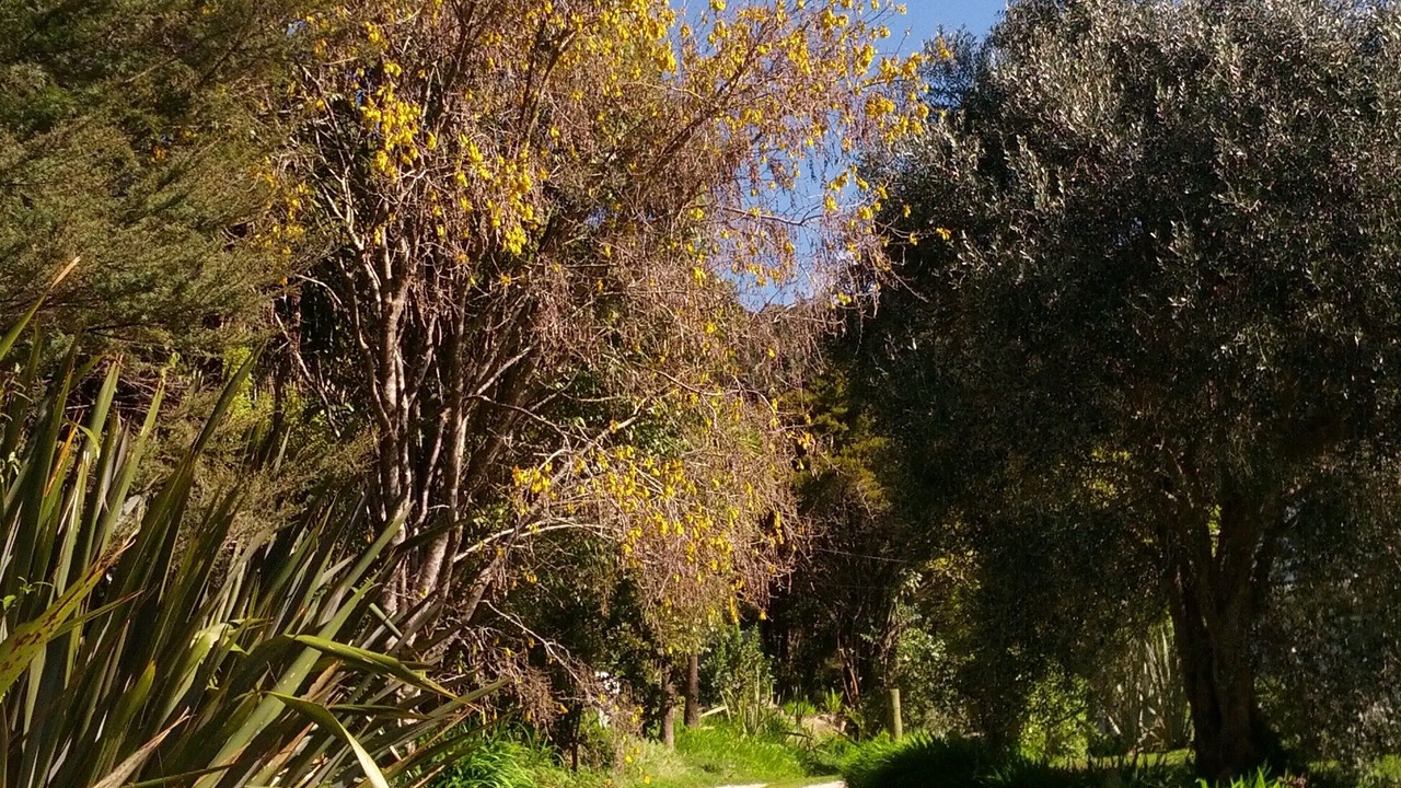 Photo of Outdoor in Collingwood