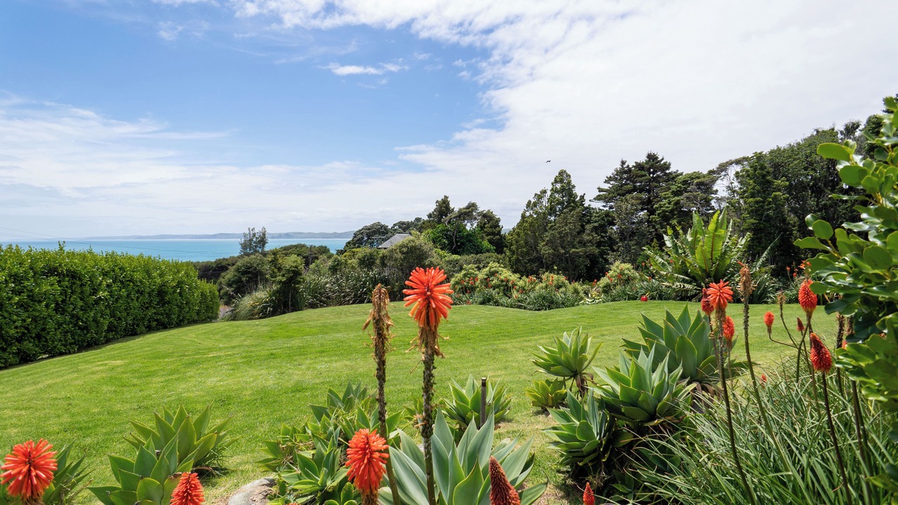 Photo of Outdoor in Raglan