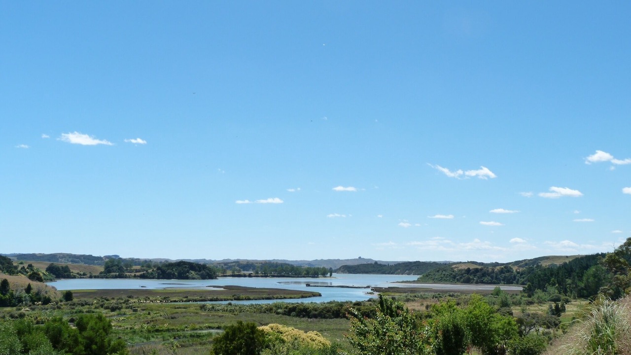 Photo of Others in Raglan
