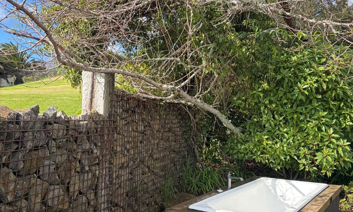 Photo of Outdoor in Raglan