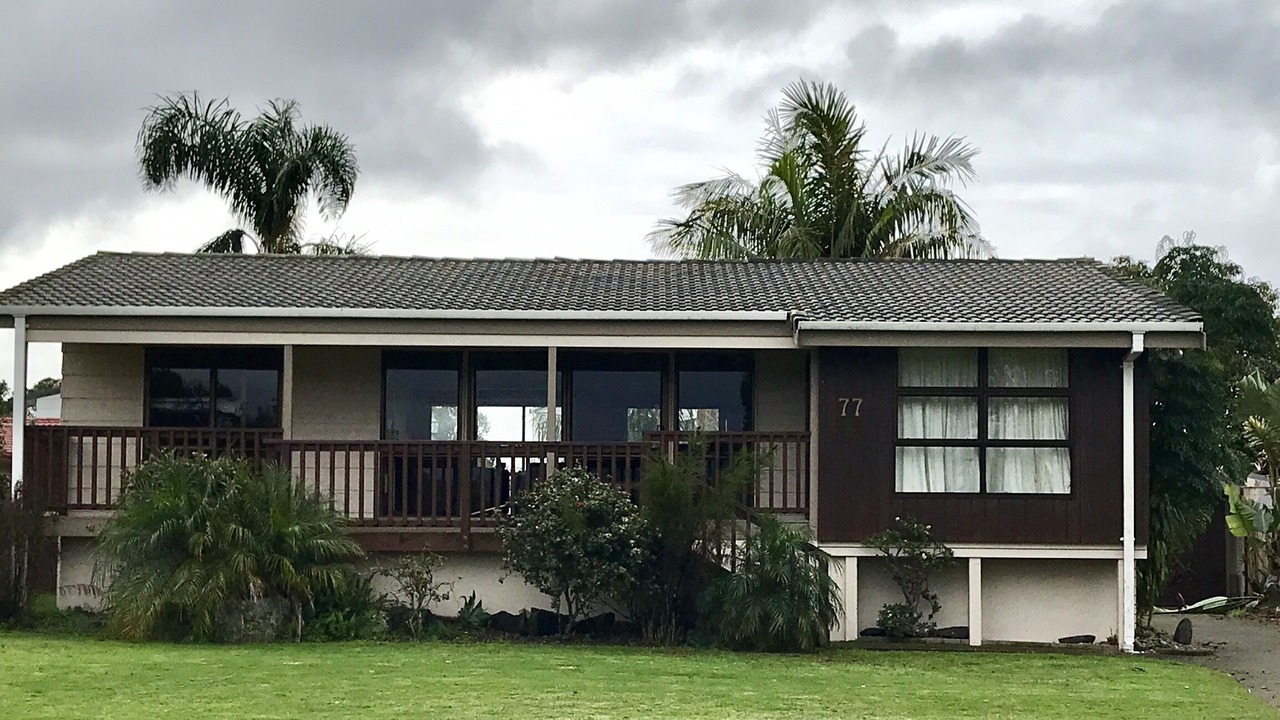 Photo of Outdoor in Whitianga