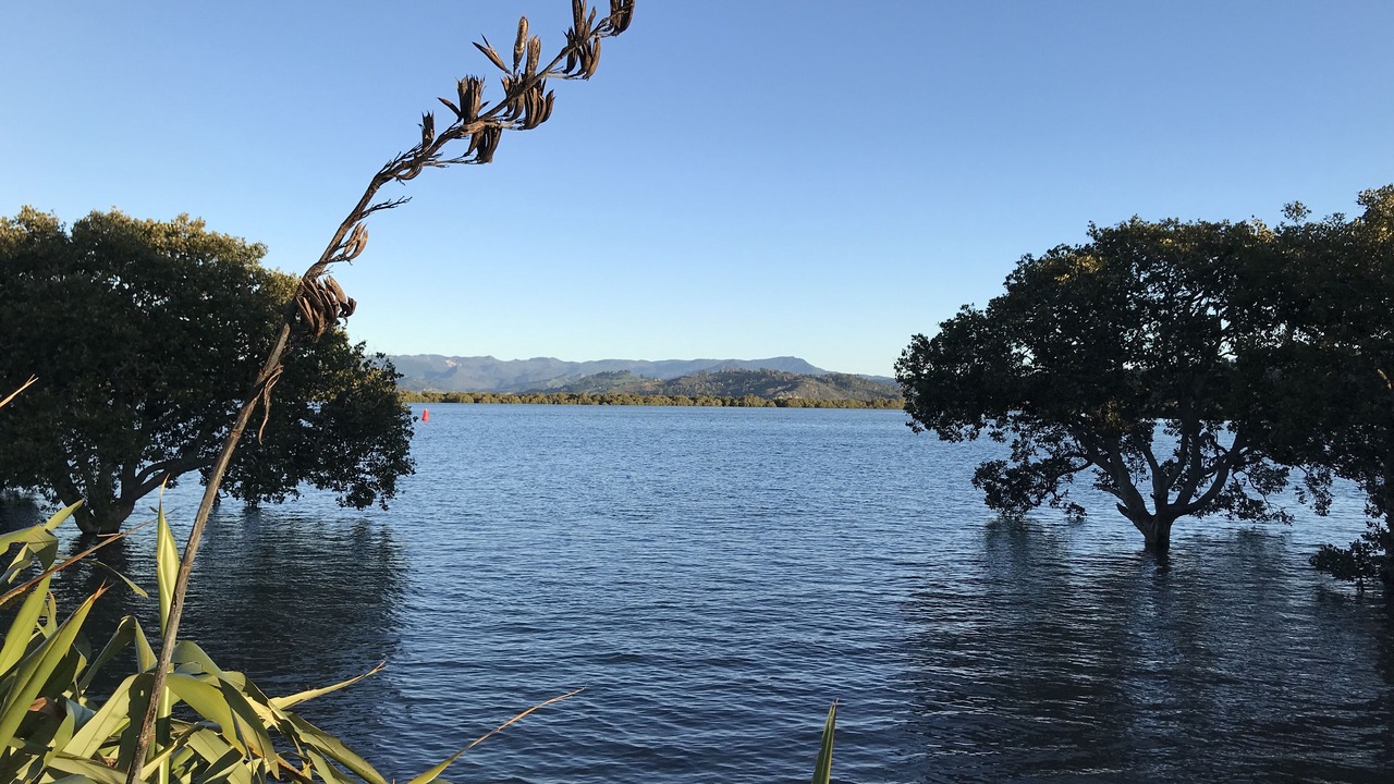 Photo of Others in Whitianga