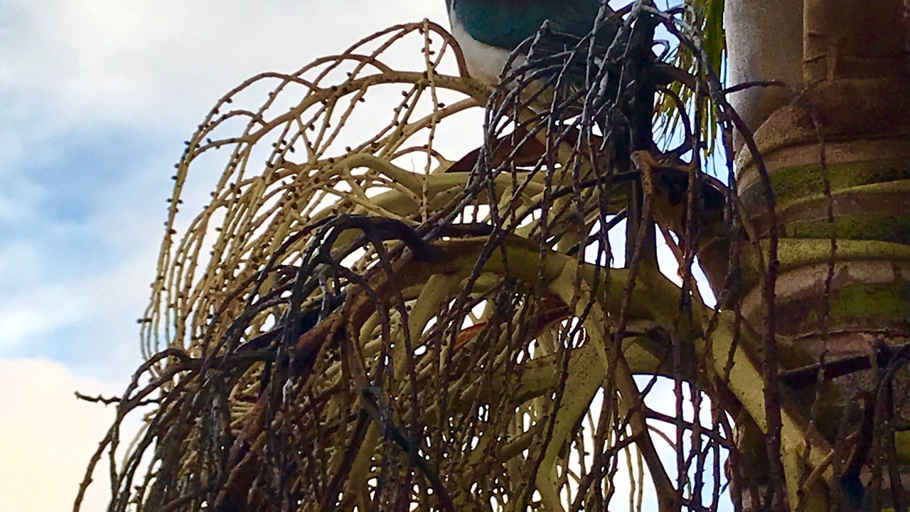 Photo of Outdoor in Whitianga