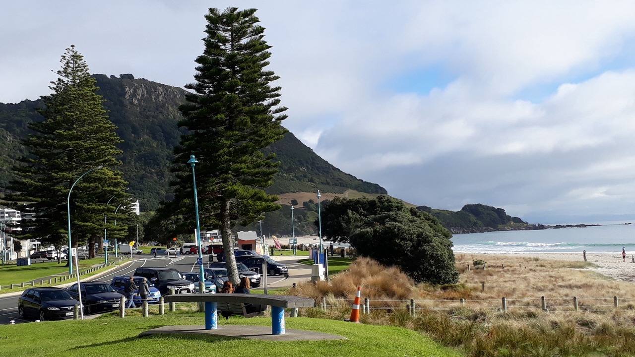 Photo of Others in Mount Maunganui