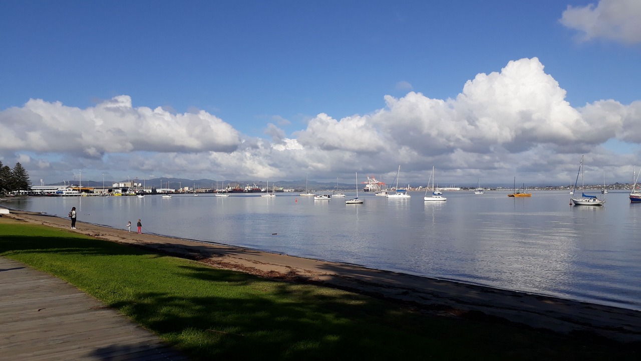 Photo of Others in Mount Maunganui