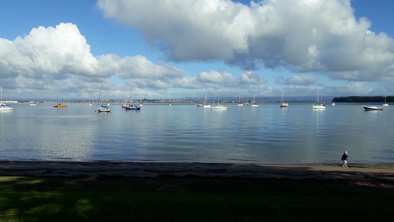 Photo of Others in Mount Maunganui