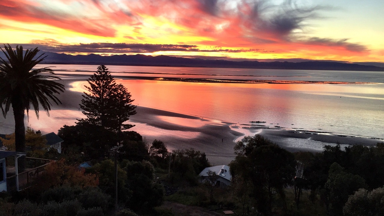 Photo of Others in Tahunanui