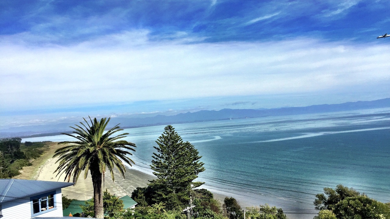 Photo of Others in Tahunanui