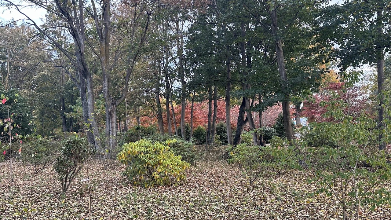 Photo of Others in Geraldine