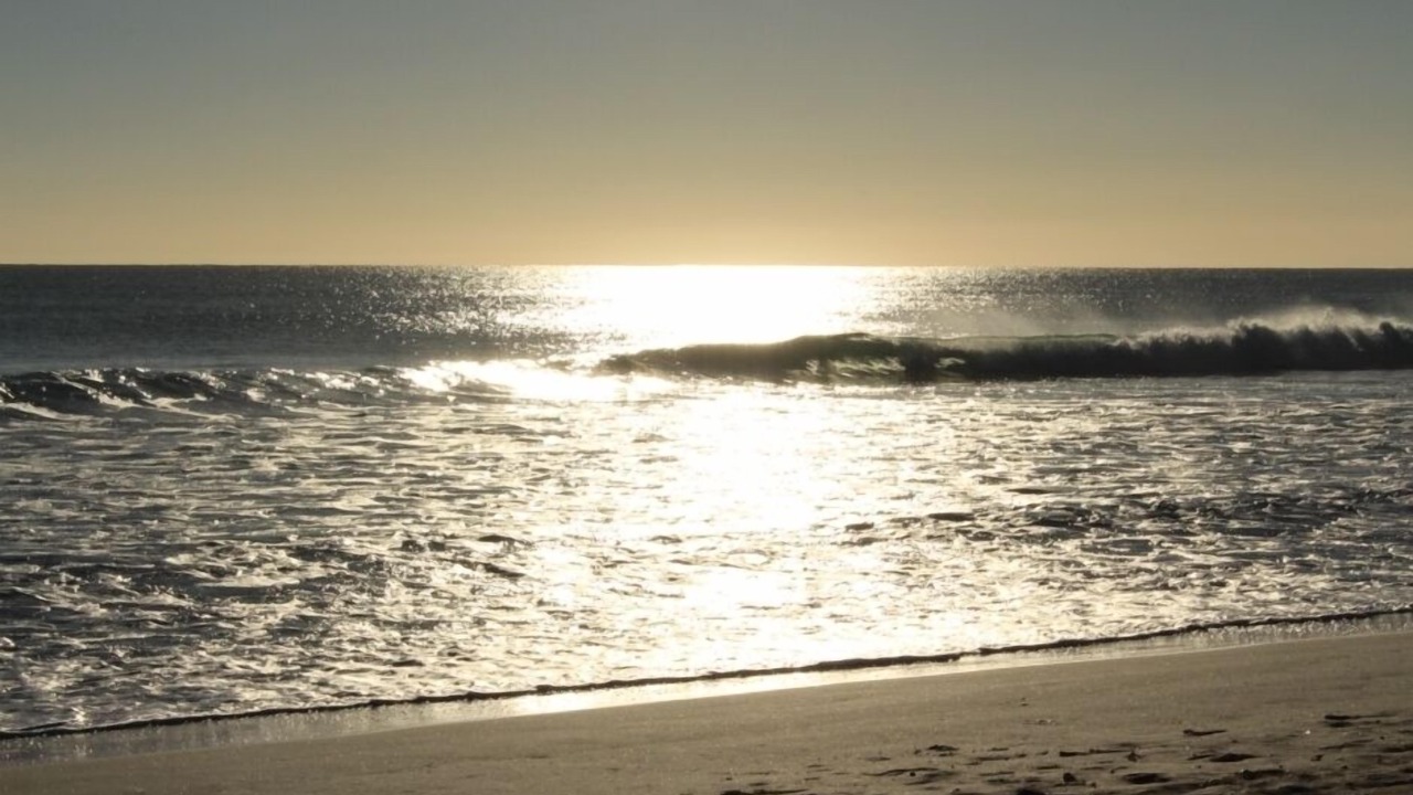 Photo of Others in Waihi Beach