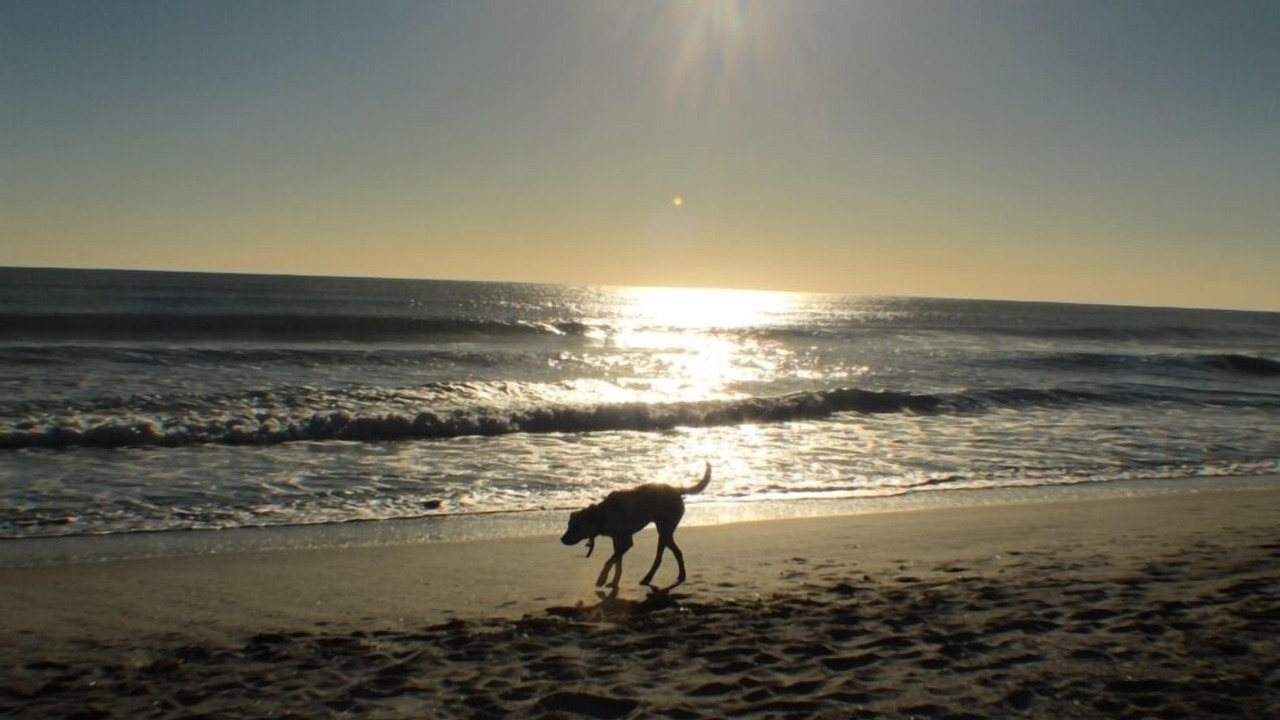 Photo of Others in Waihi Beach
