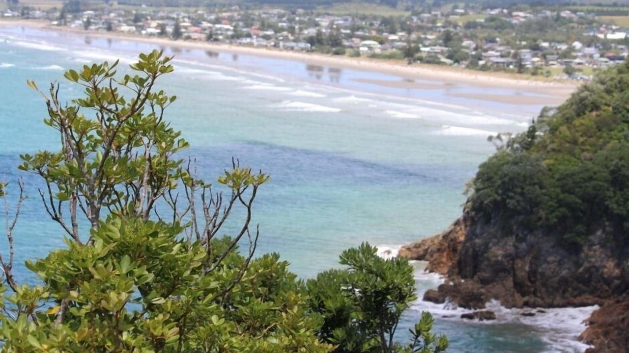 Photo of Others in Waihi Beach