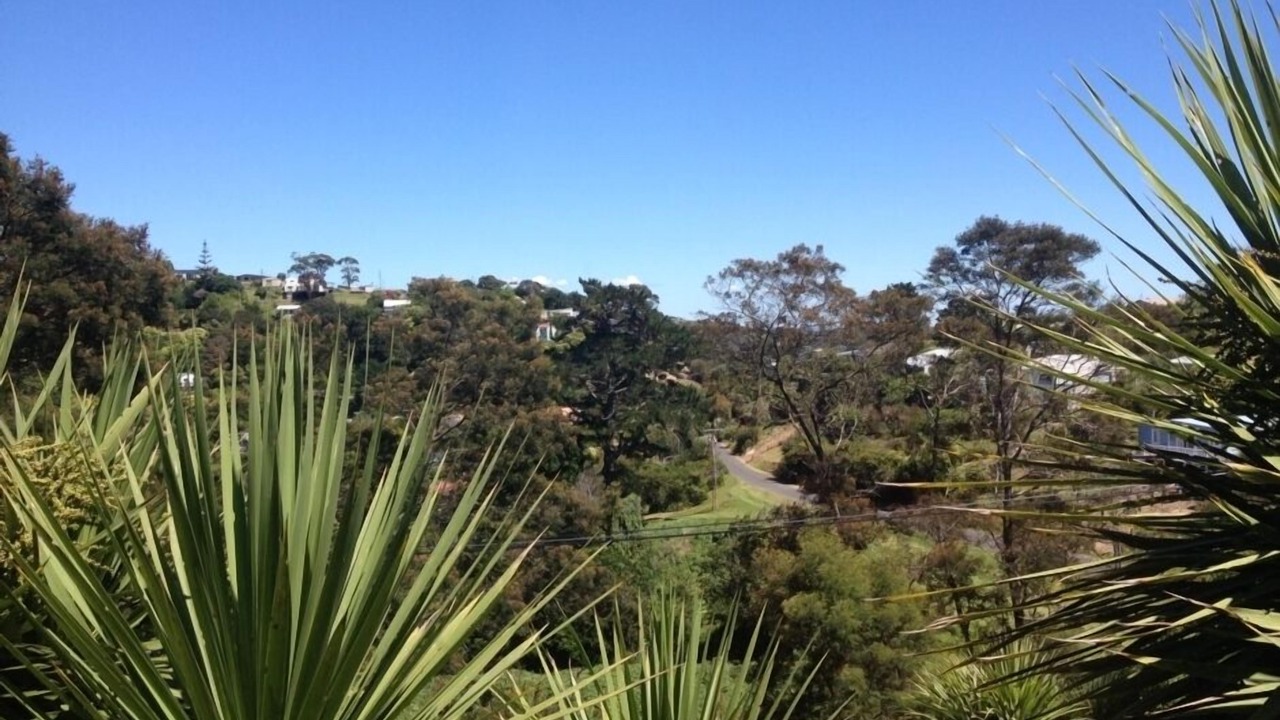 Photo of Others in Surfdale