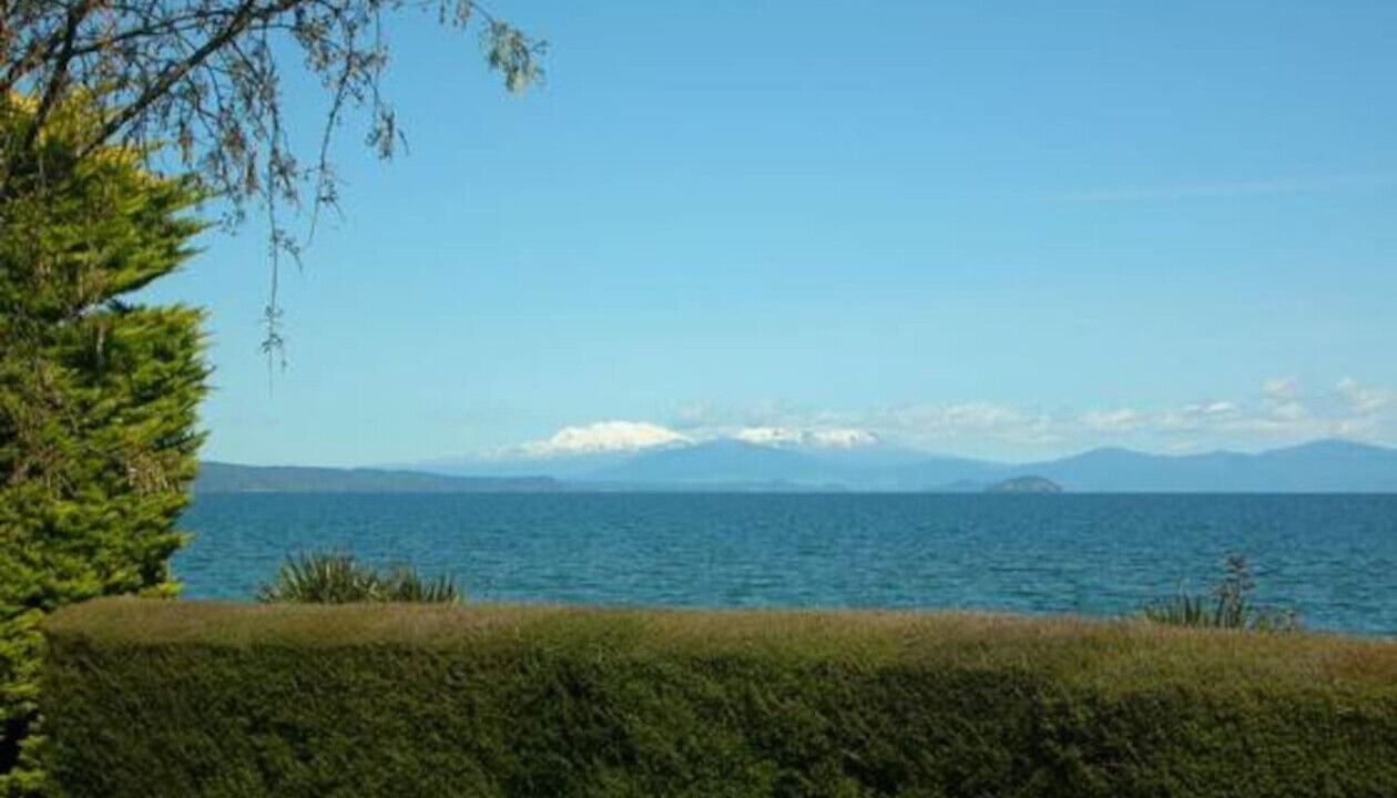 Photo of Others in Waitahanui