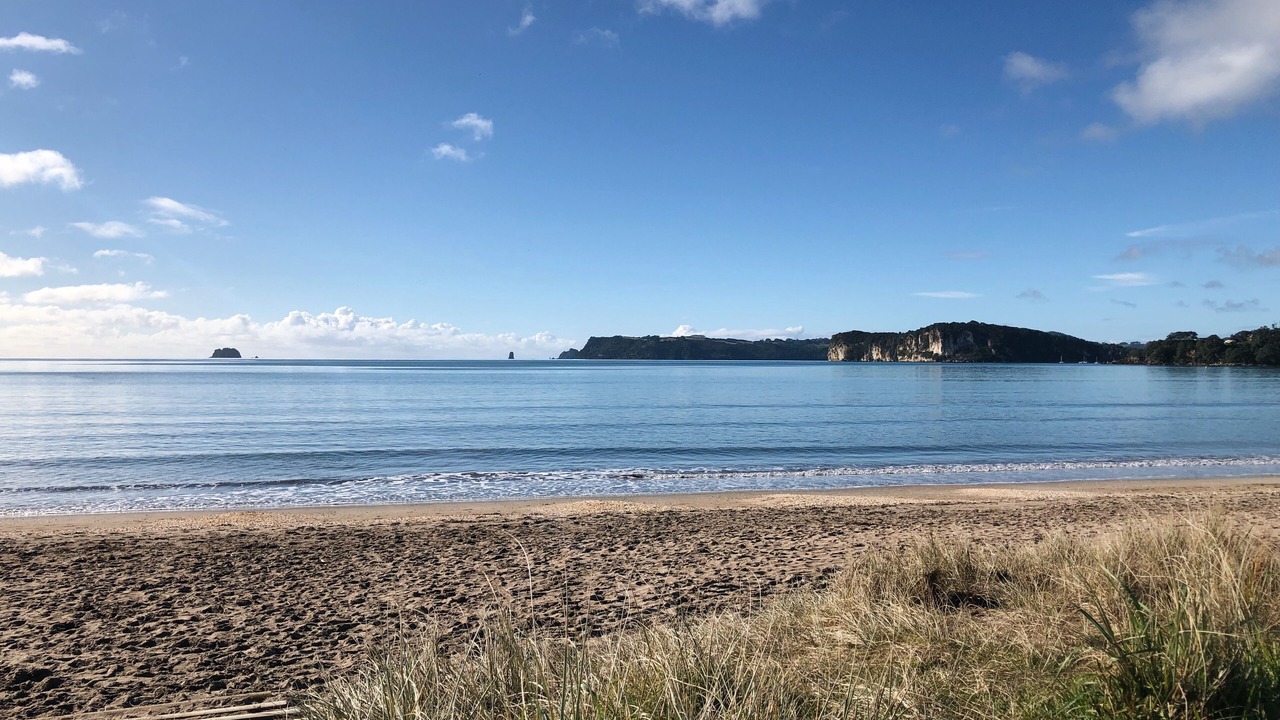 Photo of Others in Whitianga