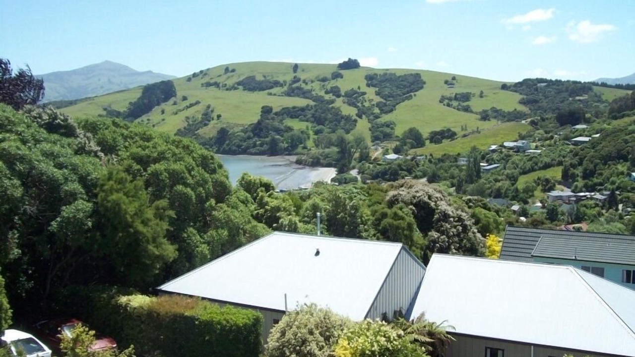 Photo of Others in Akaroa